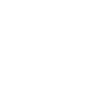 Holonexia